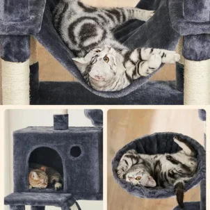 15122025693fd5f474428.jpeg