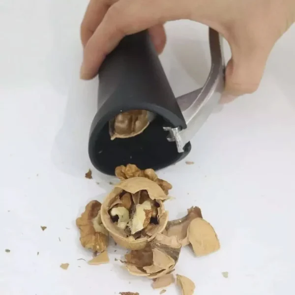 18122025694446c19b827.jpeg 18122025694446c19b827.jpeg