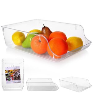 Organizer do lodówki przezroczysty 35x22,5cm Excellent Houseware 259380